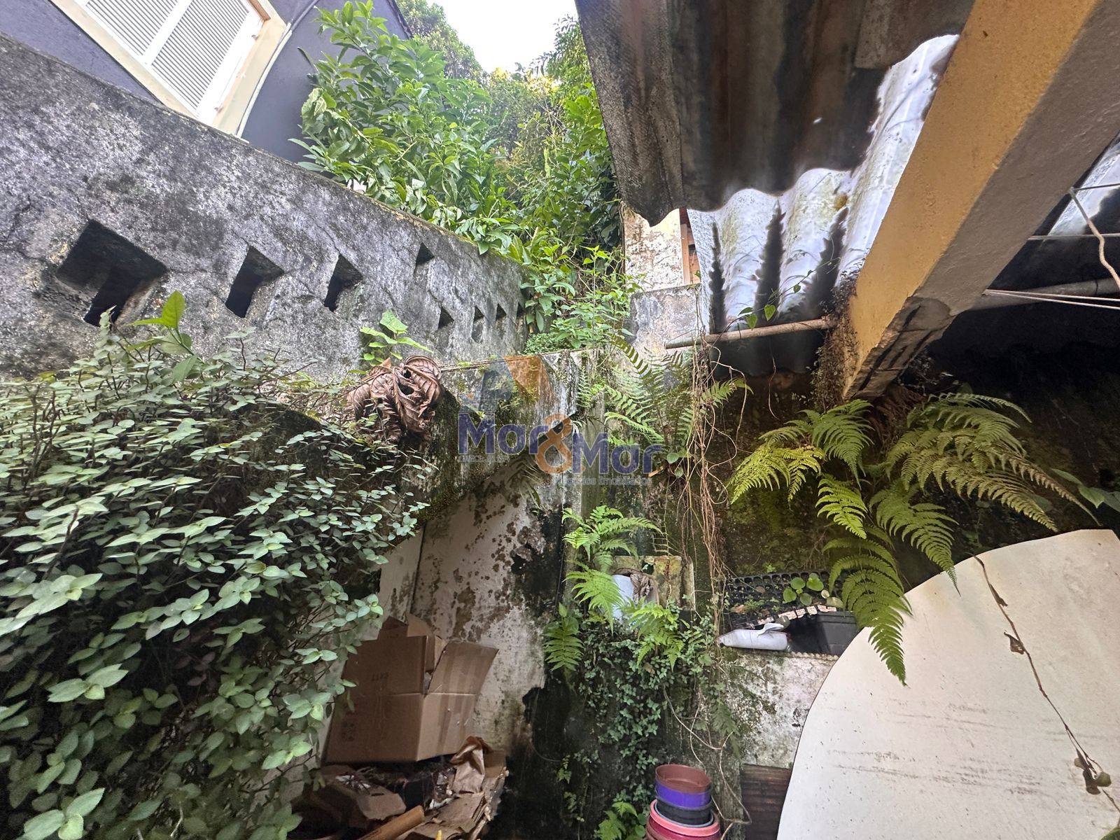 Casa-2-dormitorios-Pitangueiras